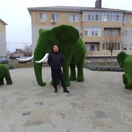 �������� �������, ������, 53 ����