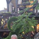 ���� �������, �������, 48 ��� - ��������� 3 ������� 2024