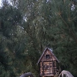 ���� �������, ��������, 48 ��� - ��������� 22 ������� 2026