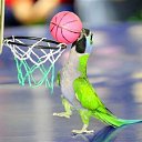 ���� ����, ������, 54 ���� - ��������� 11 ������� 2025 � ������ ���� ����������