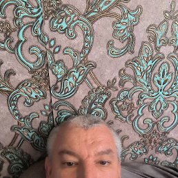 ����, 46 ���, �����������