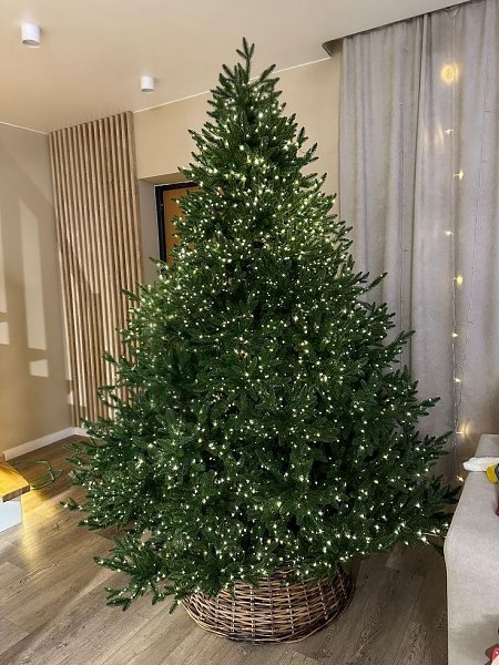 ������ ���� �����... � ������ ����! ������� ������ ������ �� �������� �� 40%. �������� ������� ... - 2