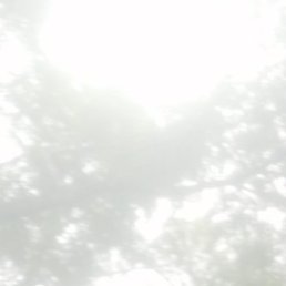 , , 46 