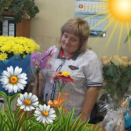 ����, ���������, 37 ���