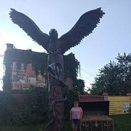 �����, ���������, 46 ���