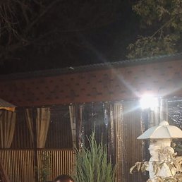 ����, ������, 46 ���