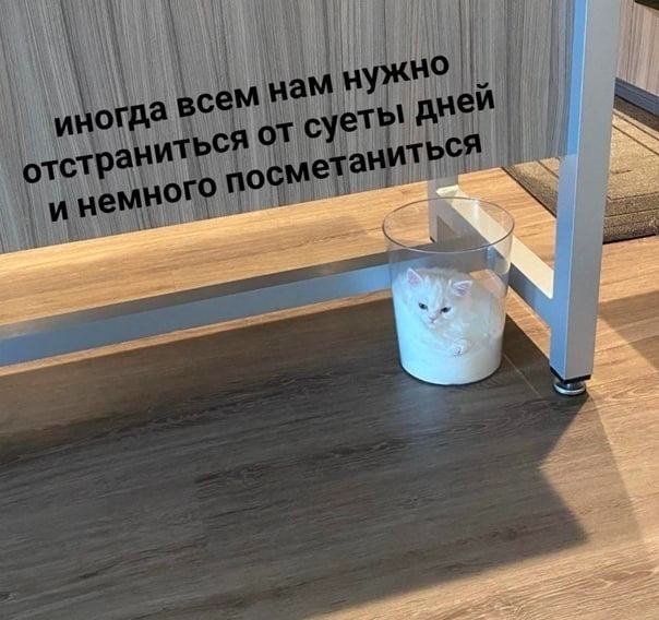    - 20  2024  08:40