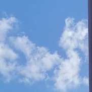 �������, 39 ���, �����