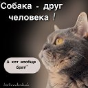 ���� �����, ���������, 60 ��� - ��������� 9 ������� 2024 � ������ ���� ����������