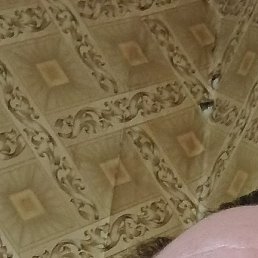 �������, ������, 44 ����