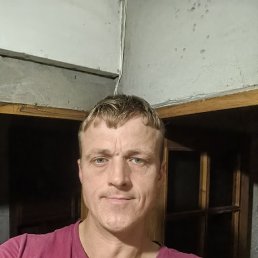 , 37, 