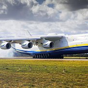 �������, 42 ����, ������