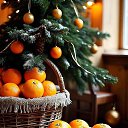 ���� ������, ���������� �����, 55 ��� - ��������� 31 ������� 2024 � ������ ������ ��������