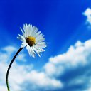 ���� ���������, ������ �������� - ��������� 11 ������ 2026 � ������ ���� ����������