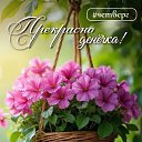 ���� �������, ���������� - ��������� 24 ��� 2026 � ������ ������ ��������
