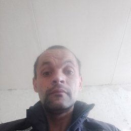 ���� �����, ������, 43 ����