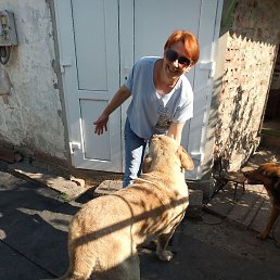 �������, ������, 53 ����