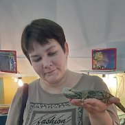 , 41 ,  