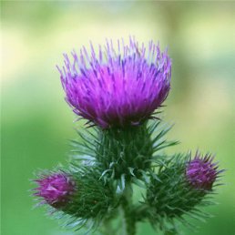 ���� �����, ������ - ��������� 28 ������� 2025