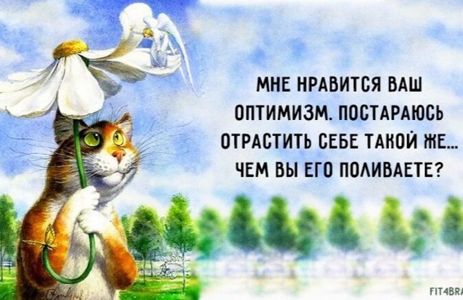   , ...