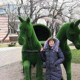 �����, ������-��-����, 50 ���