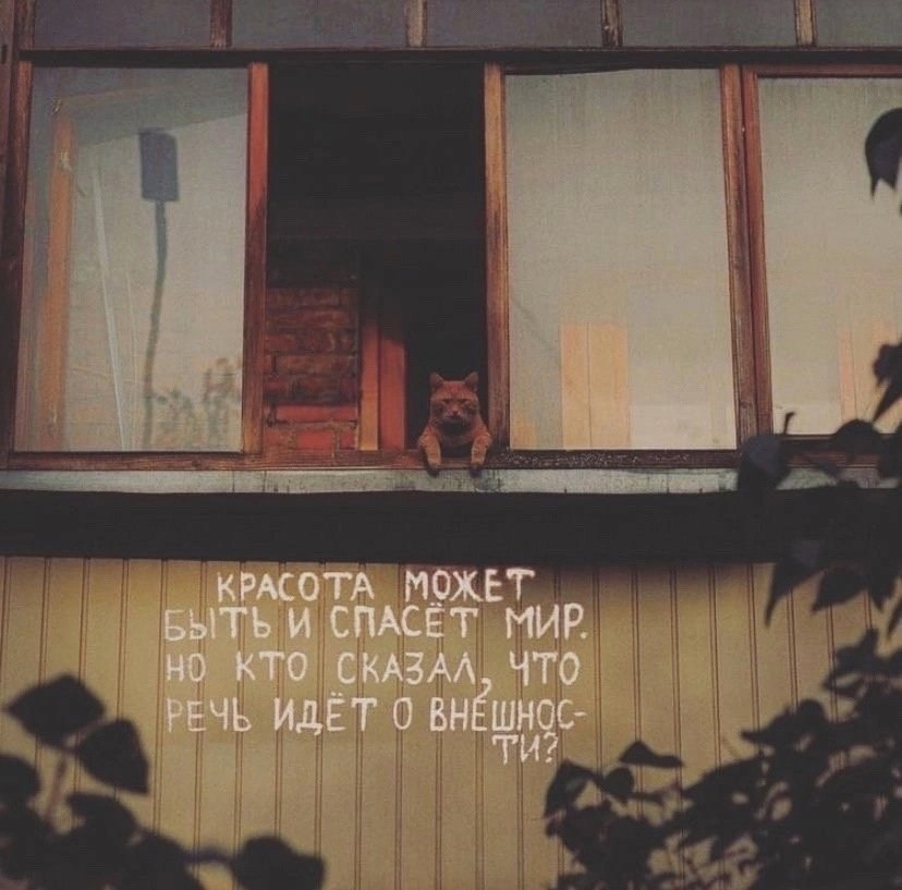 �� ������ �������: