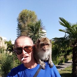 ����, �����, 49 ���