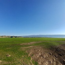 ������, ������, 38 ���