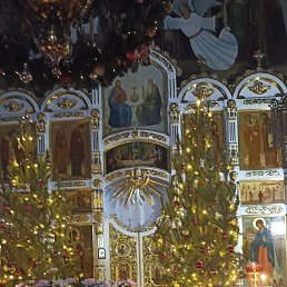 ���� ������, ������, 57 ��� - ��������� 18 ����� 2024