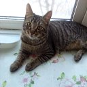 ���� ����, ������, 52 ���� - ��������� 26 ������� 2025 � ������ �� � ��� �������