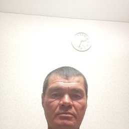  , 46, 
