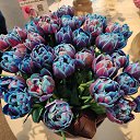 ���� �����, ����� - ��������� 24 ������ 2026 � ������ ���� ����������