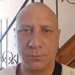 �����, ���������, 40 ���