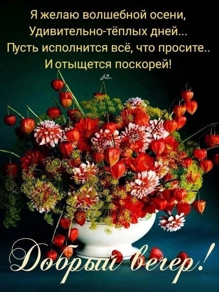   ,    . - 25  2025  15:01