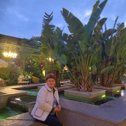  , 55, 