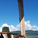 ���� ����� ��������, ����������, 68 ��� - ��������� 7 ������ 2026 � ������ ���� ����������