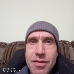 ���� ������, �����, 32 ���� - ��������� 14 ������ 2025