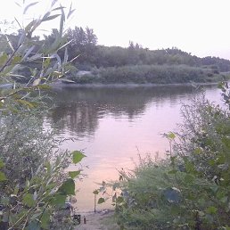 ����, ���������, 38 ���