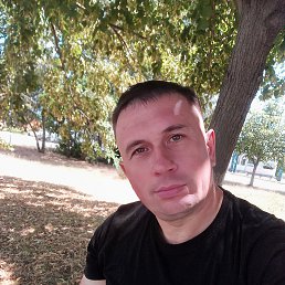 , 40, 