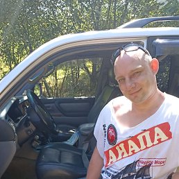 , 41, -