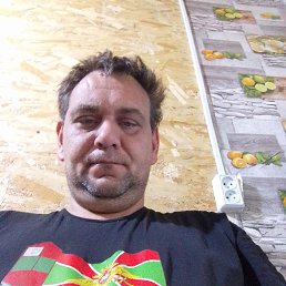 , 41, 