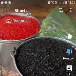, , 43 