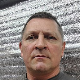 , 50, 