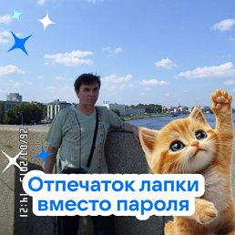���������, 63 ����, ������������