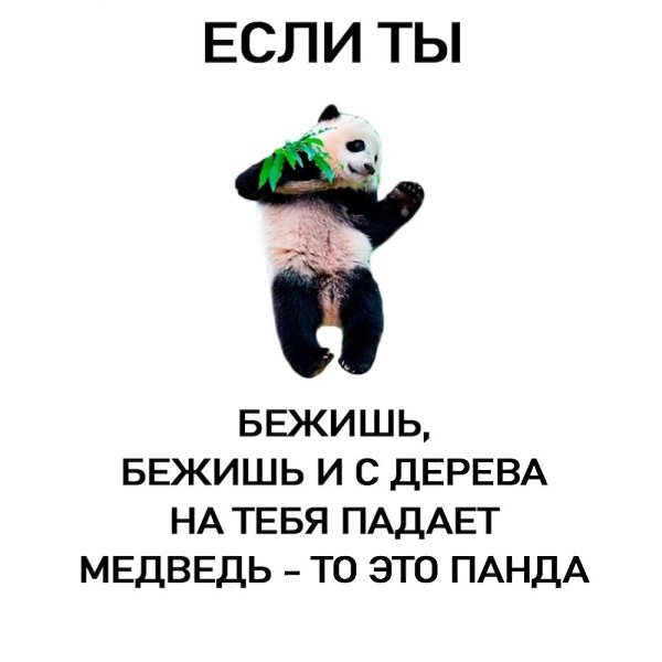  . - 5