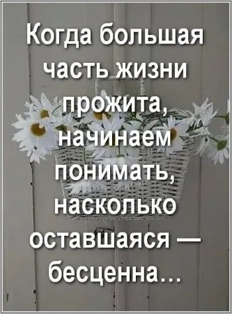  - 25  2024  15:44