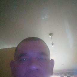 , 37, 