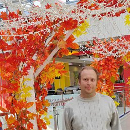 ������, 36 ���, ���������