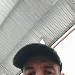 , 45, 