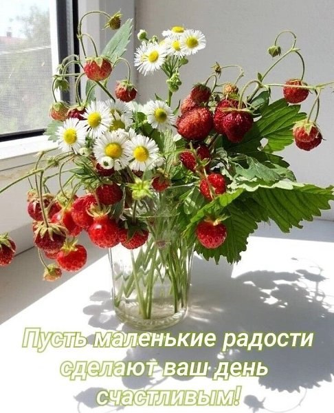  - 29  2025  08:25